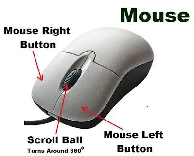 Mouse-structure-for-Working - EnterHindi